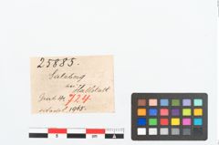 Etikett zu Bronzeradgitterfibelnadel (NHMW-PRAE-025885)